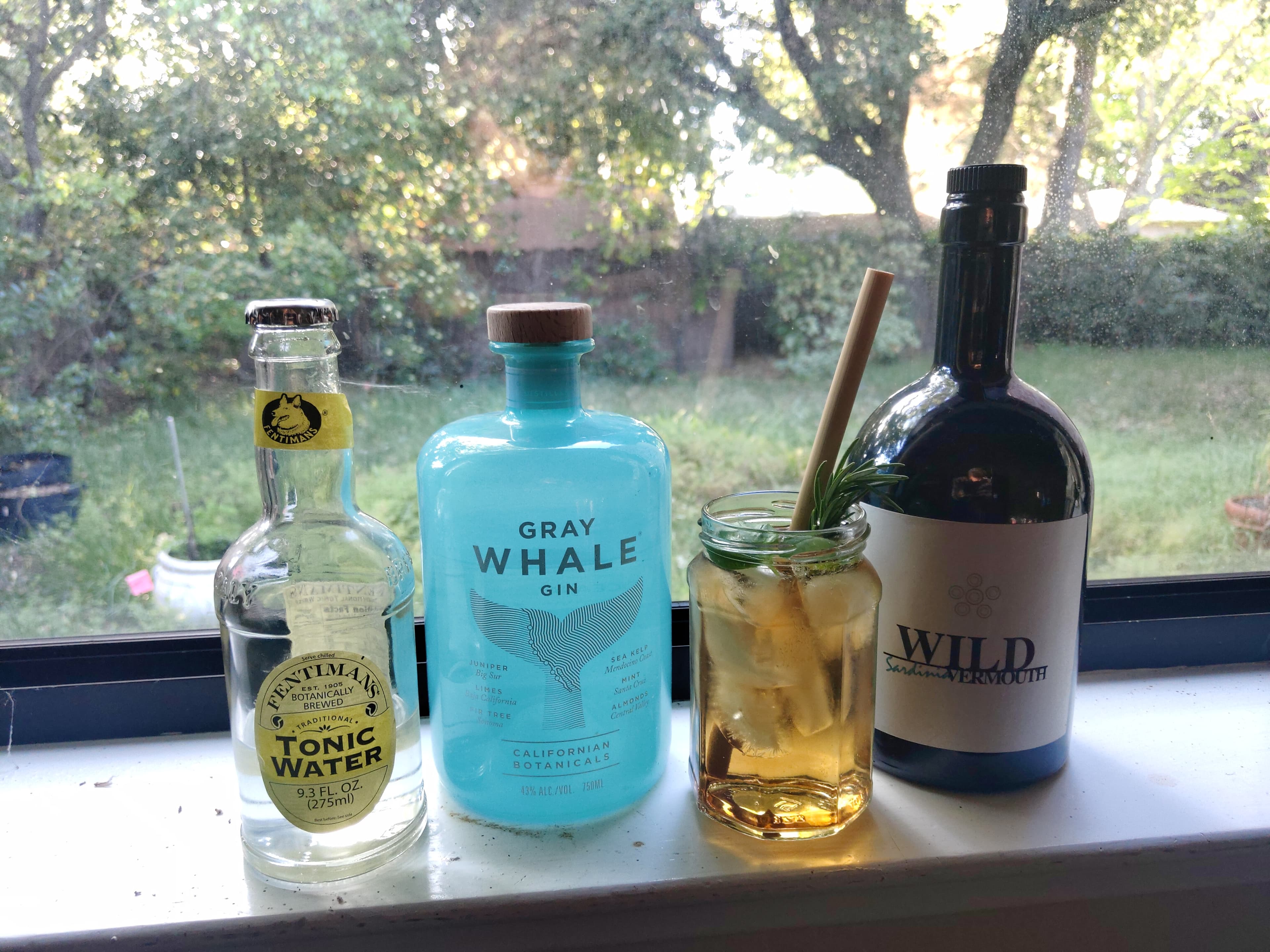 Coastal Gin Tonic Cocktail